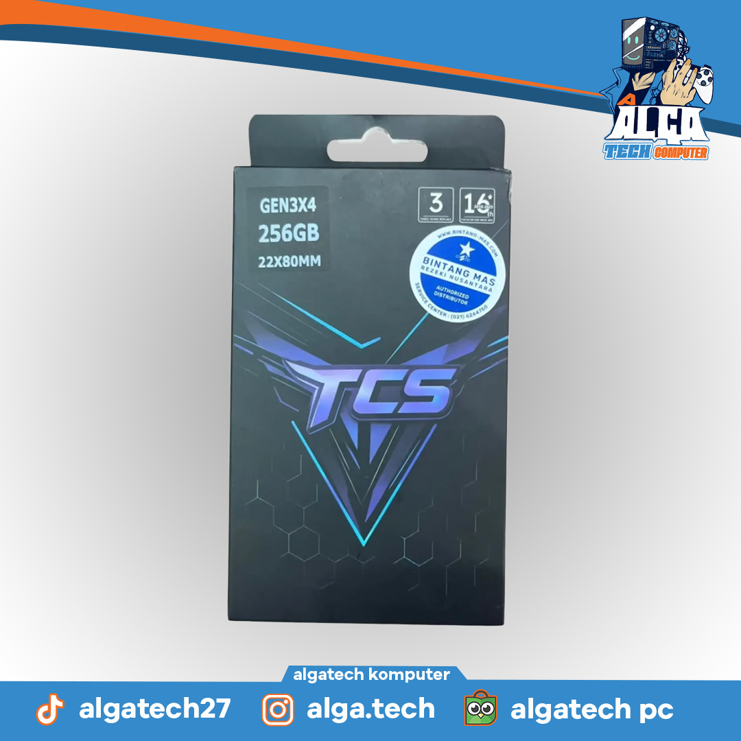 NVME TOROSUS TCS 256GB